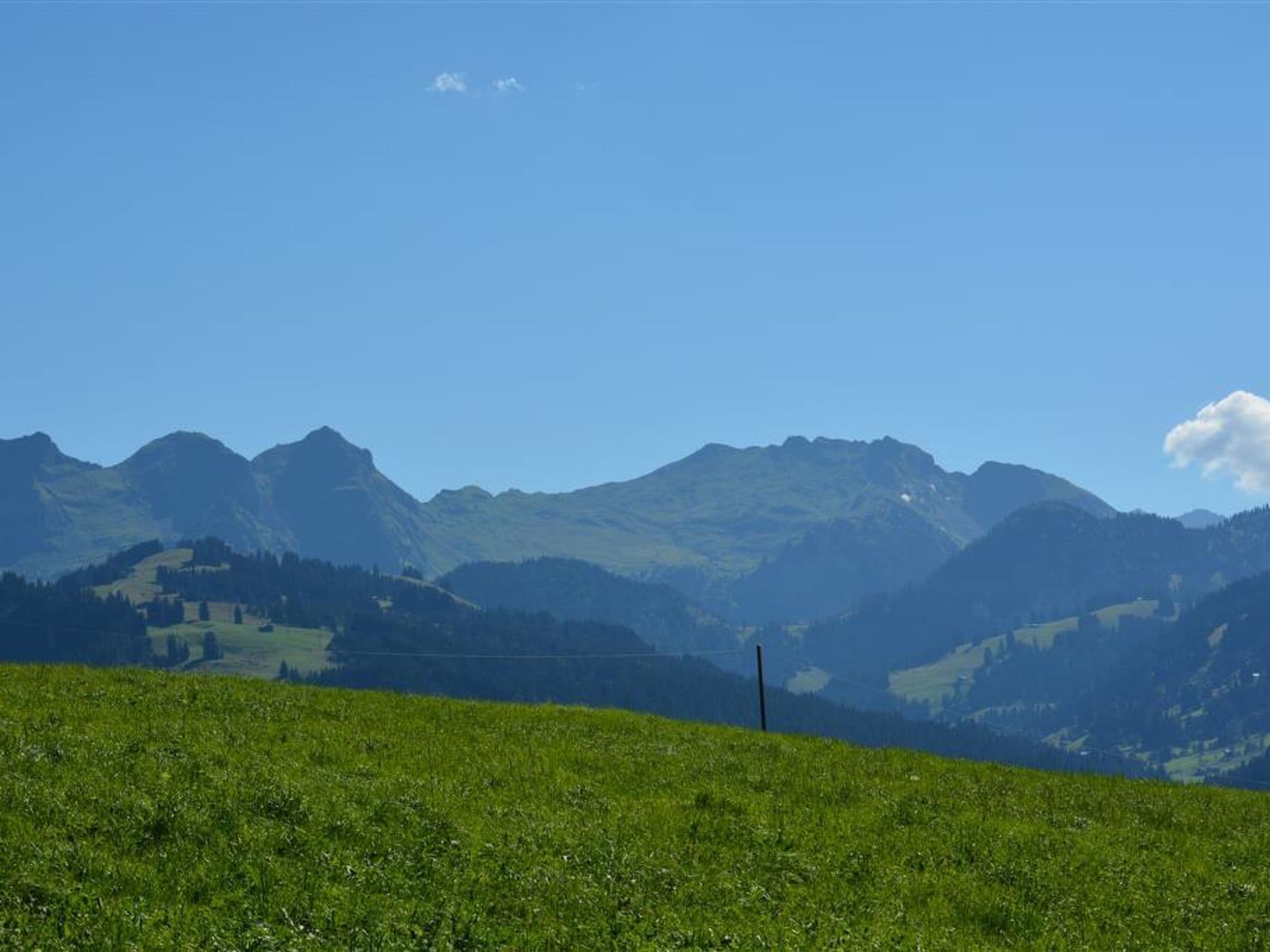 View