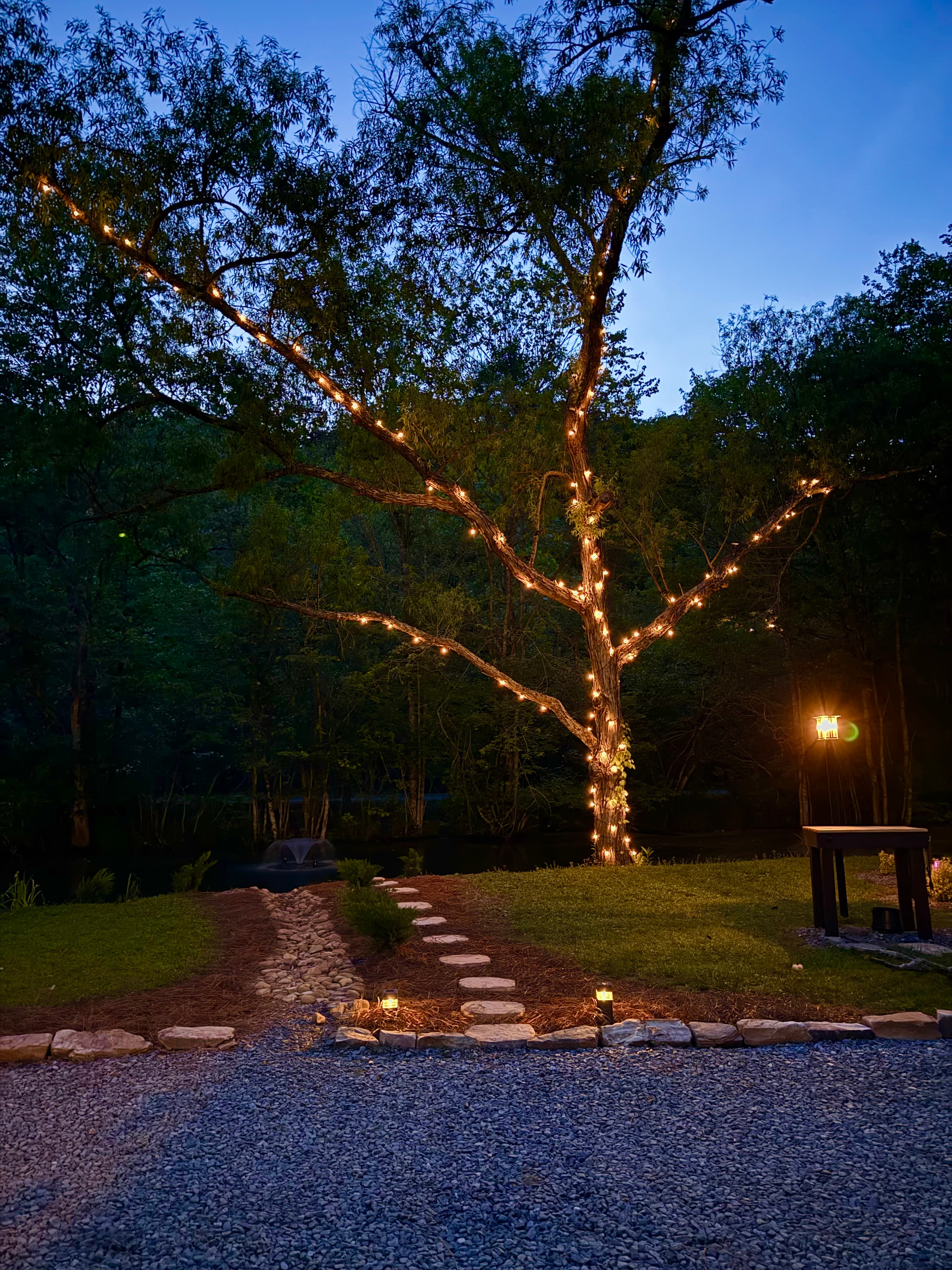 Front yard