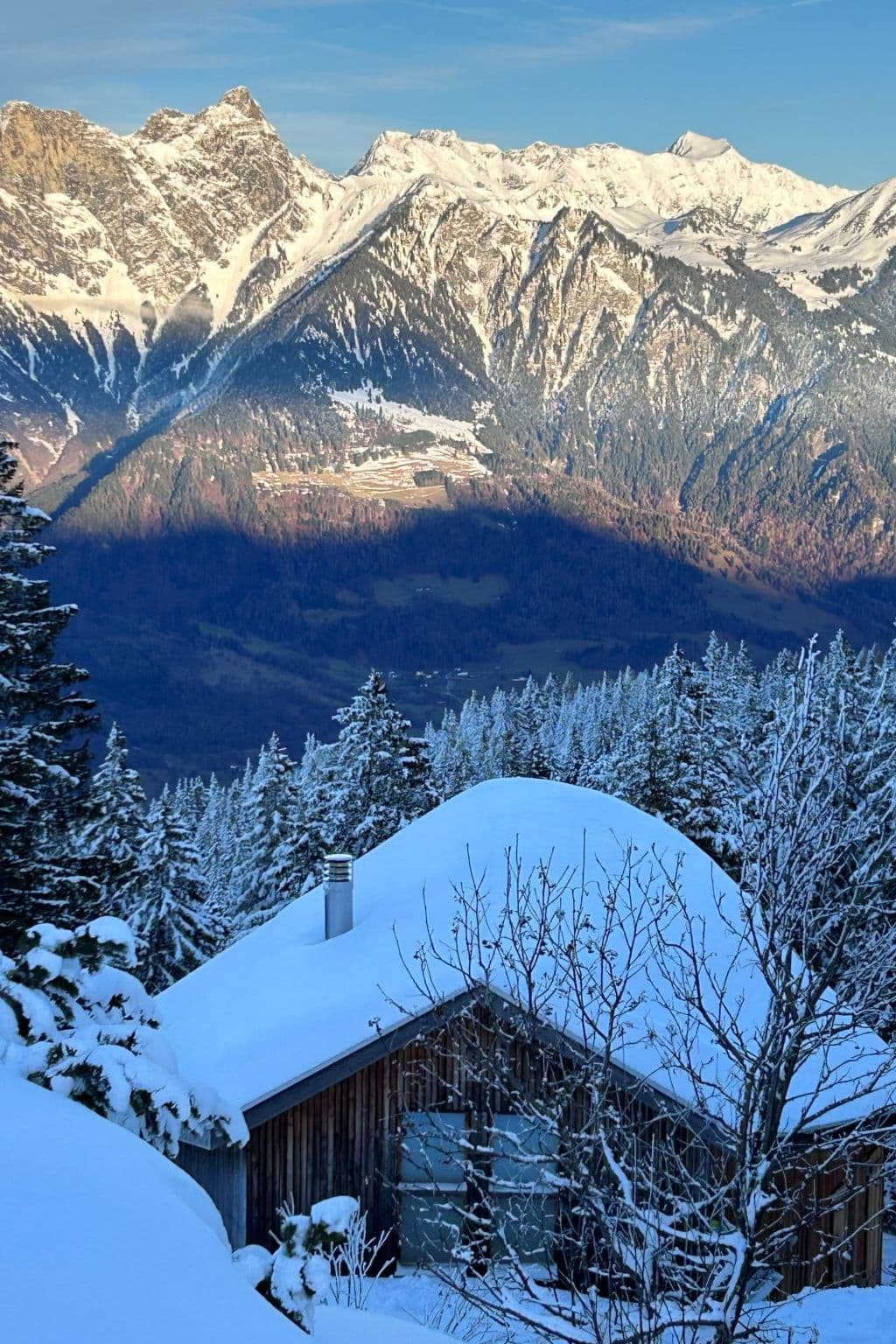 View