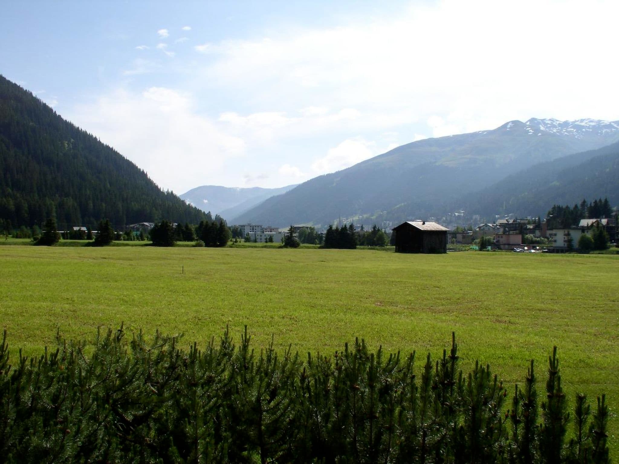 View