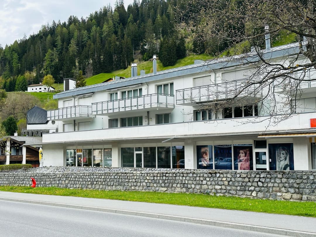 Large Image