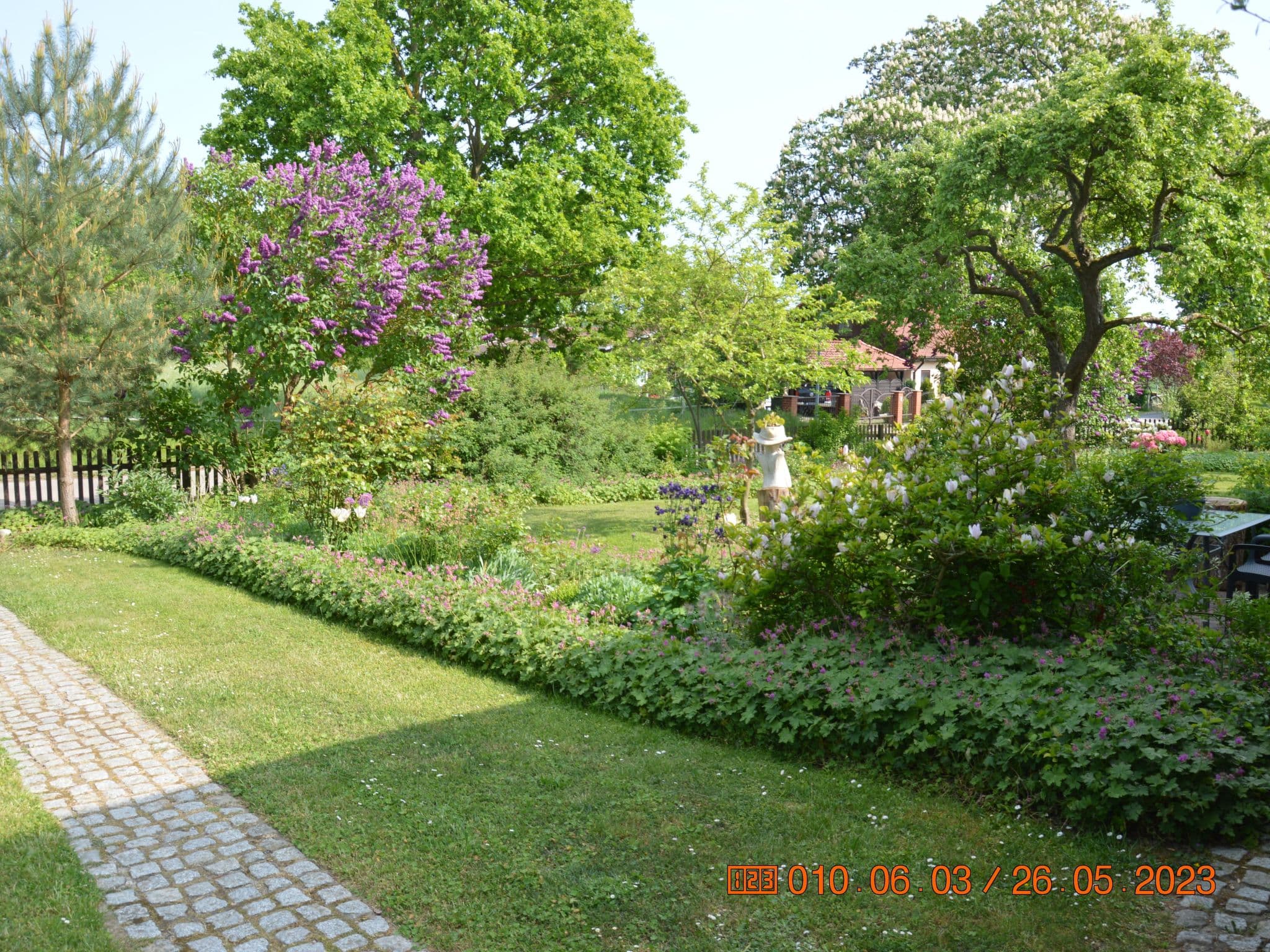 Gallery Image 18