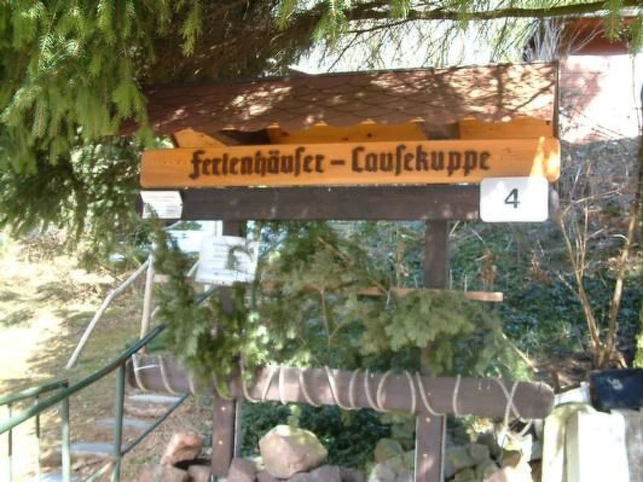 Gallery Image 11