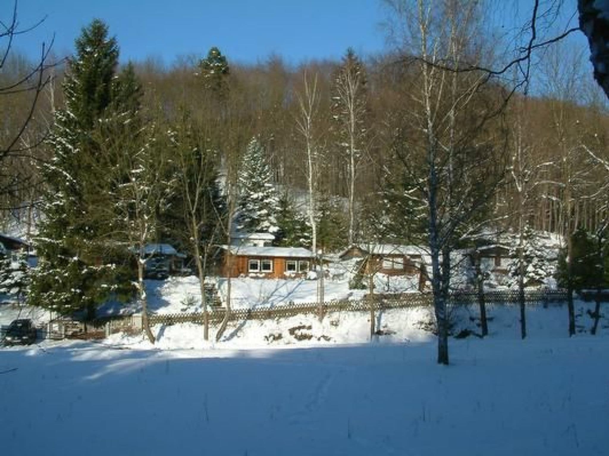Gallery Image 13