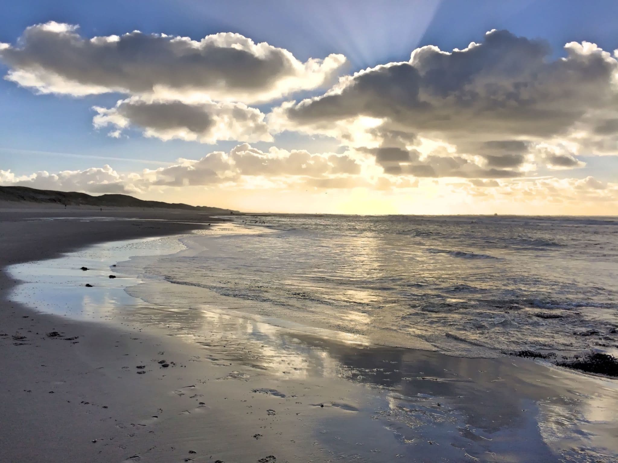 Gallery Image 39