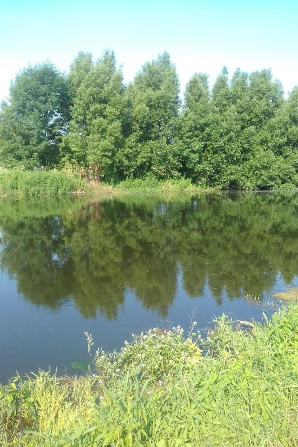 Gallery Image 11