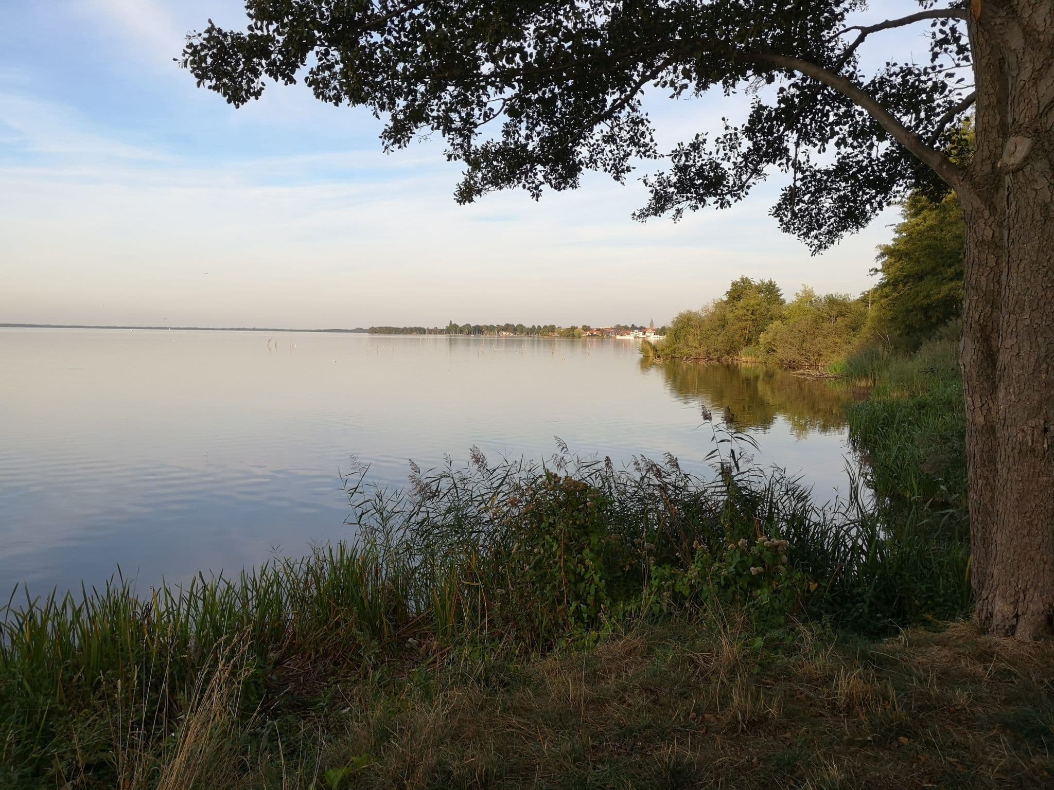 View