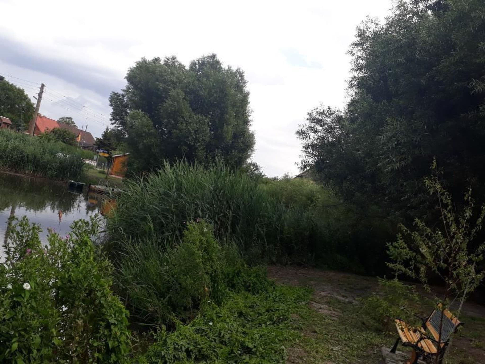 Gallery Image 21