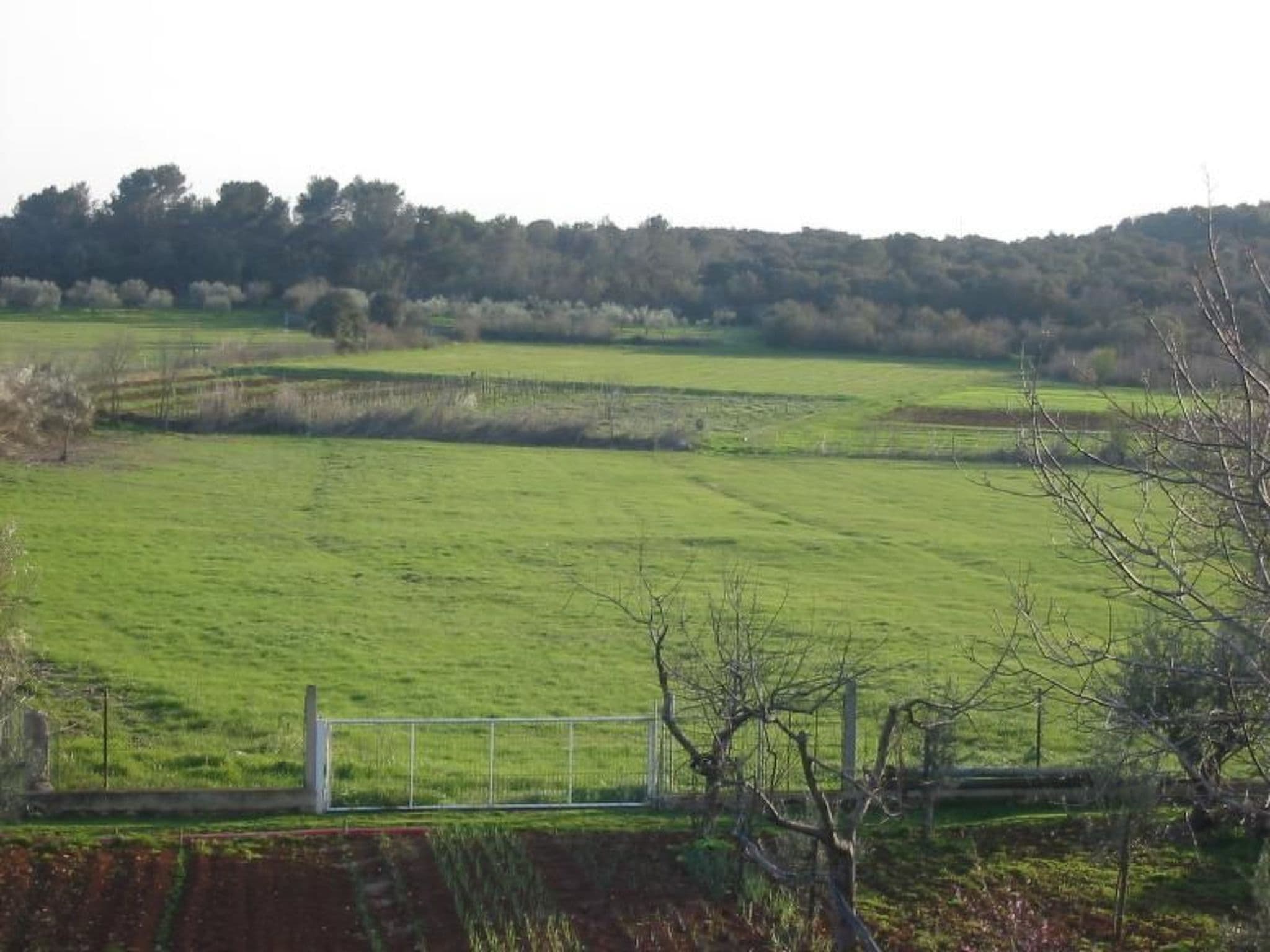 Gallery Image 7
