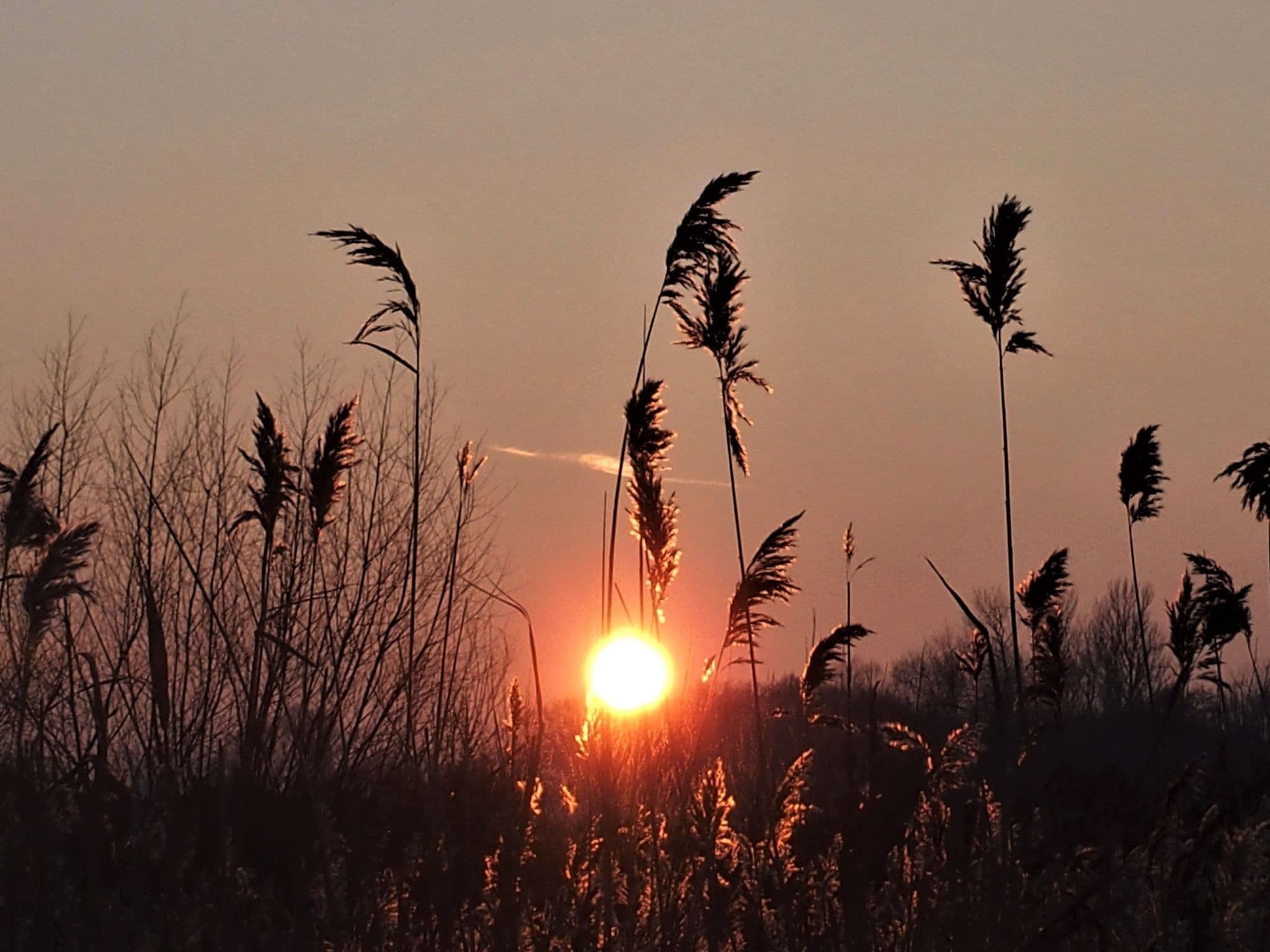 Gallery Image 33