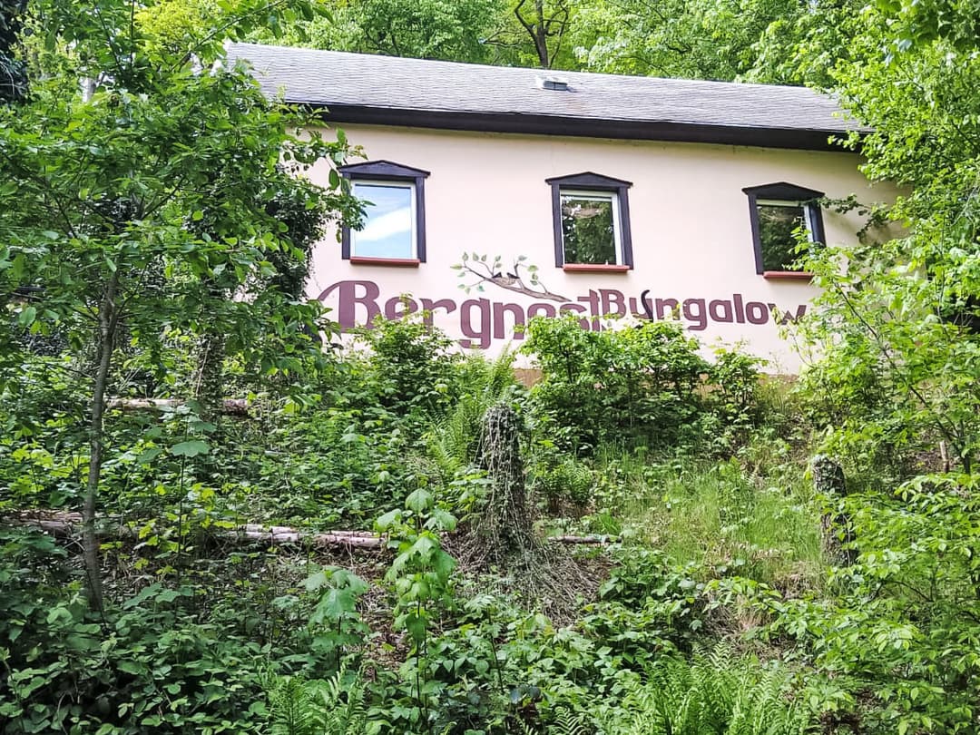 Large Image