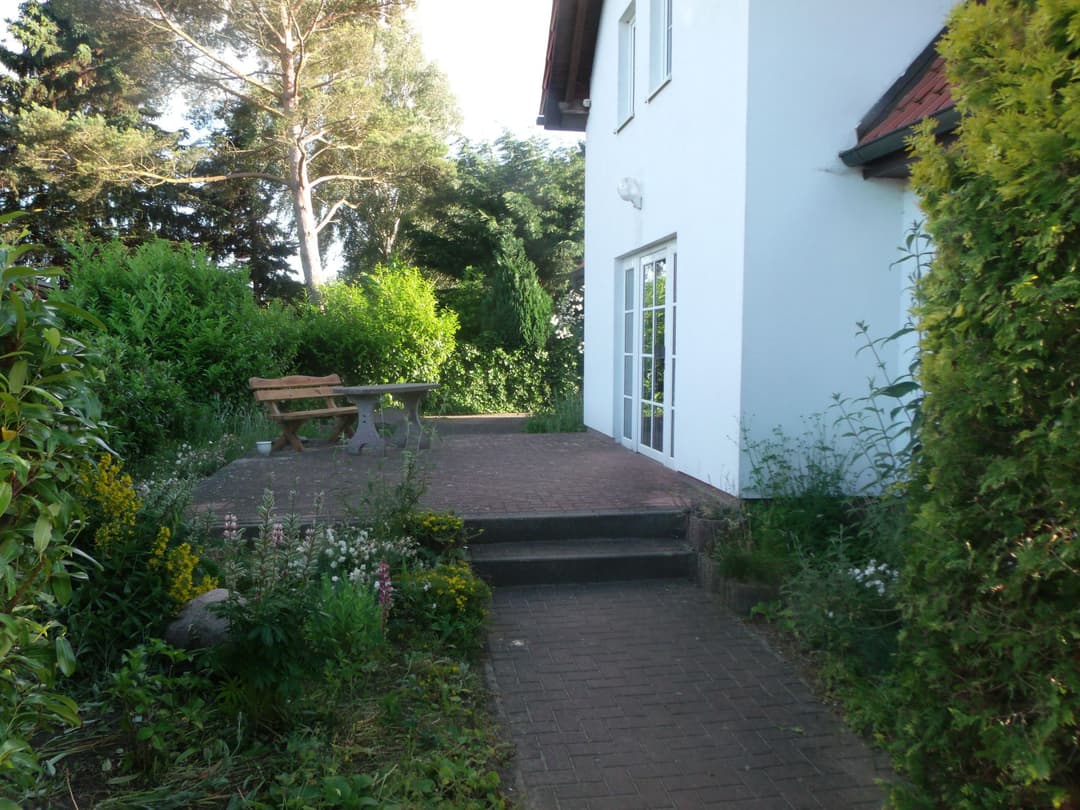 Large Image
