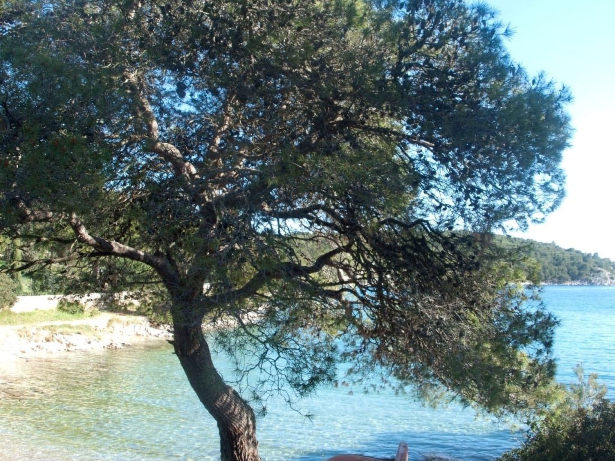 Gallery Image 39