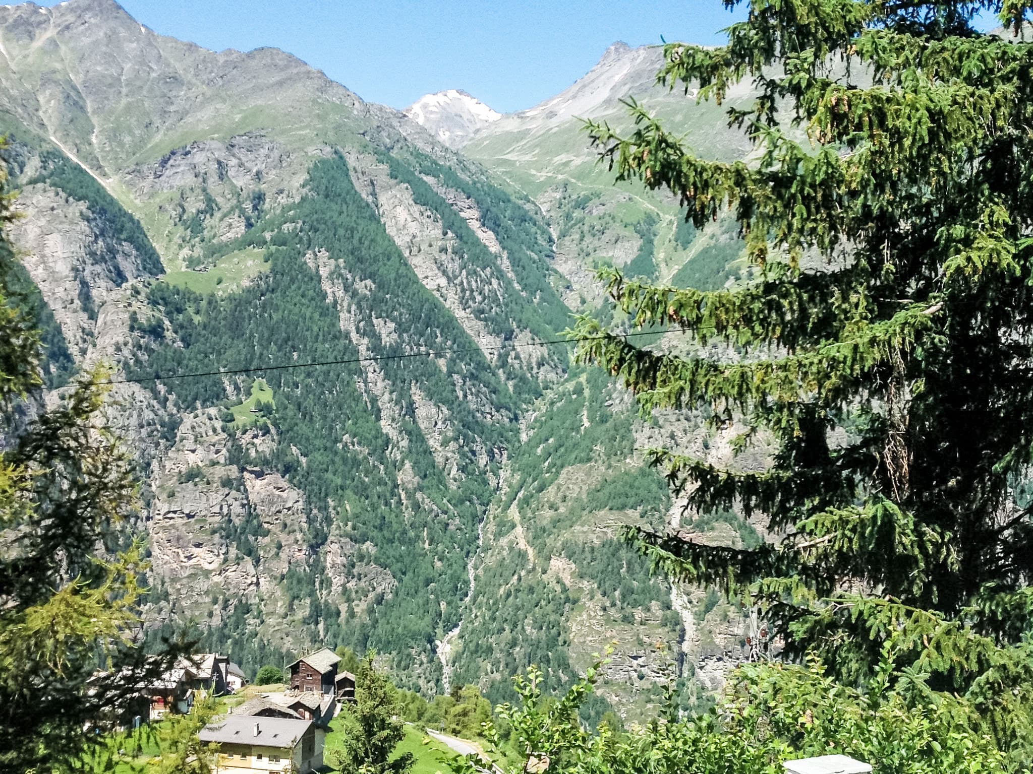 View