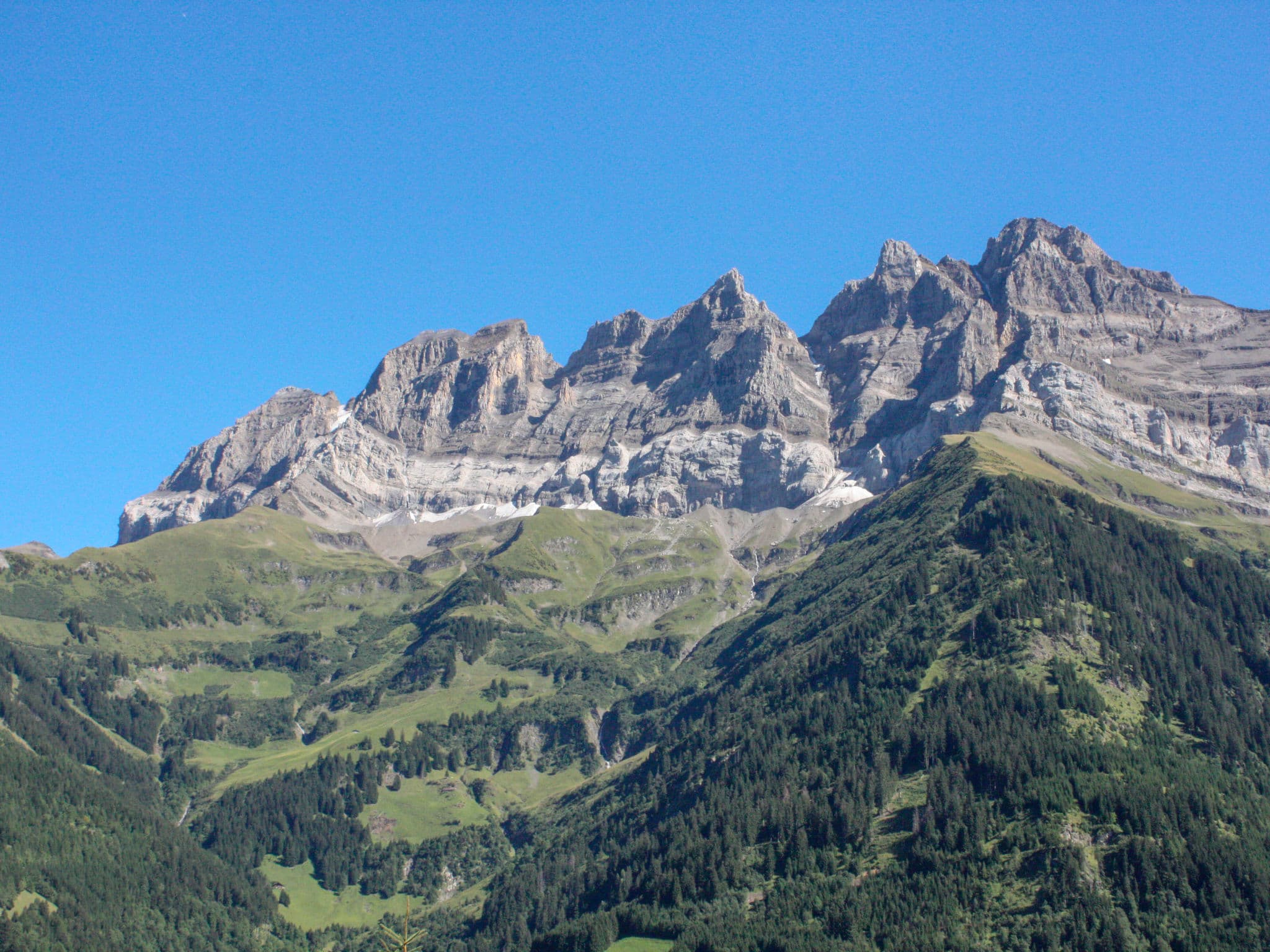 View