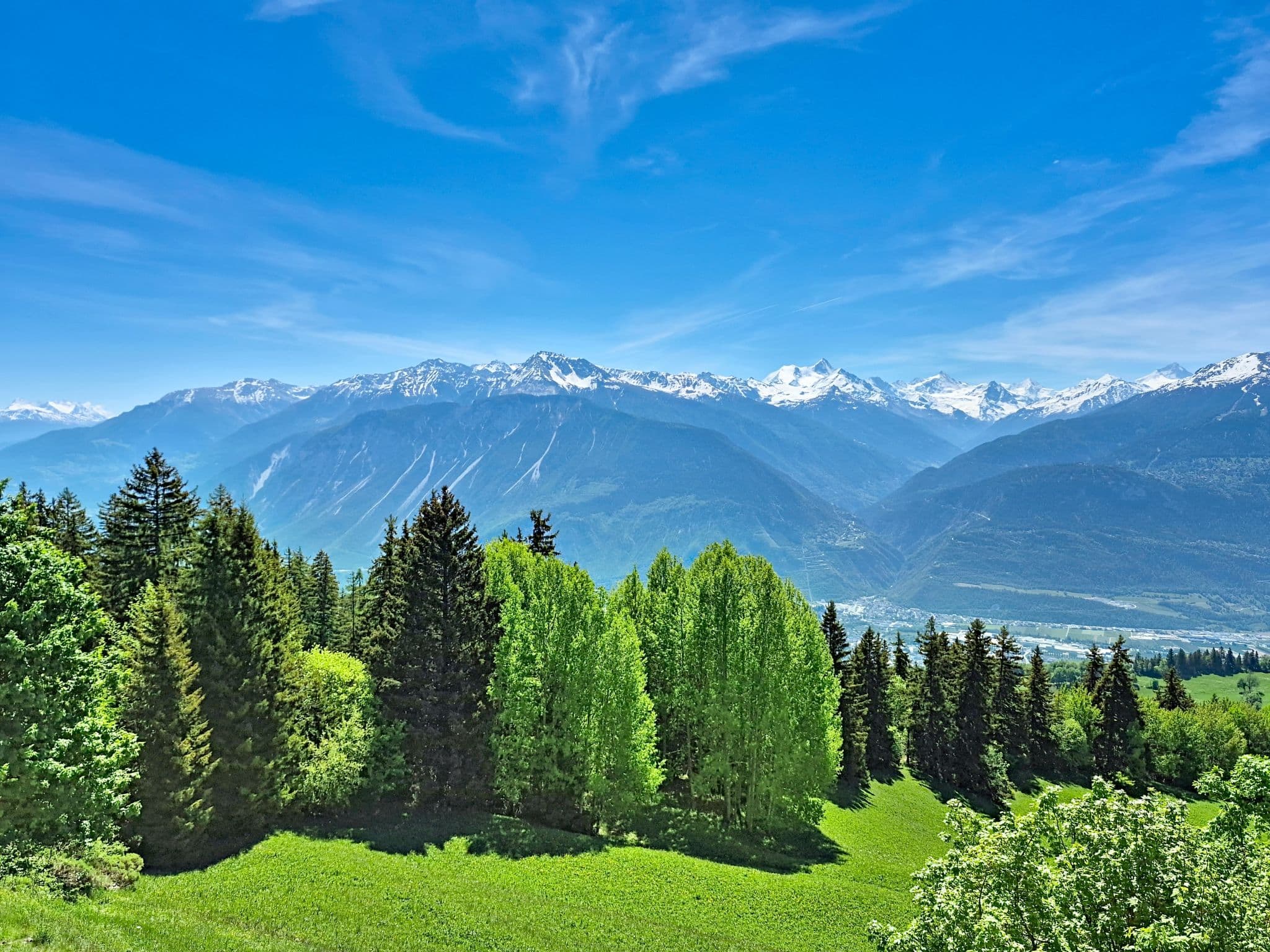 View