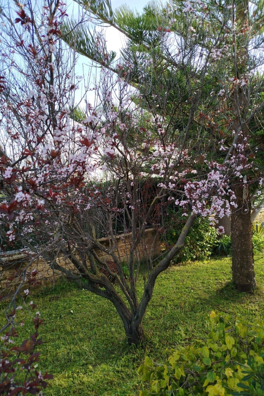 Gallery Image 28
