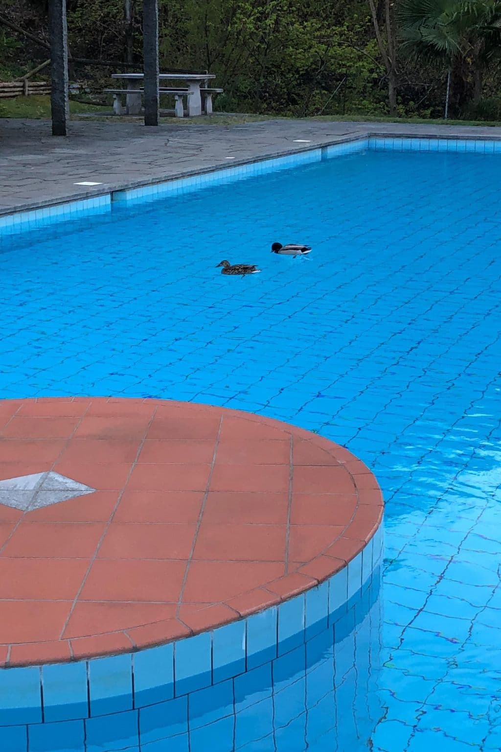 Pool Outdoor