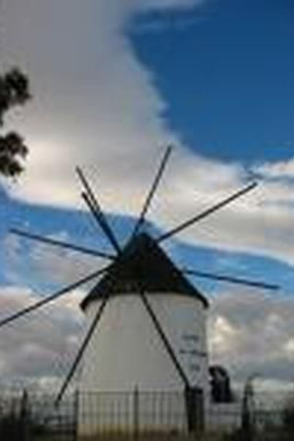 Gallery Image 12