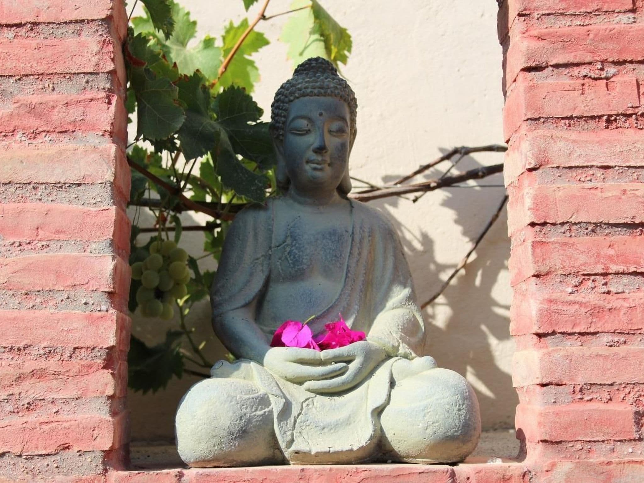 Gallery Image 22