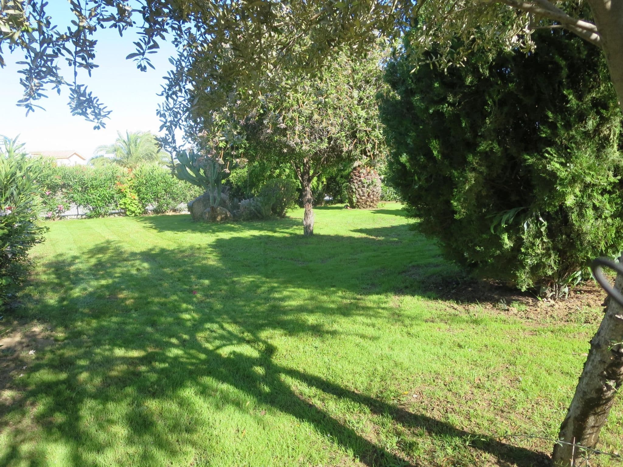 Gallery Image 10