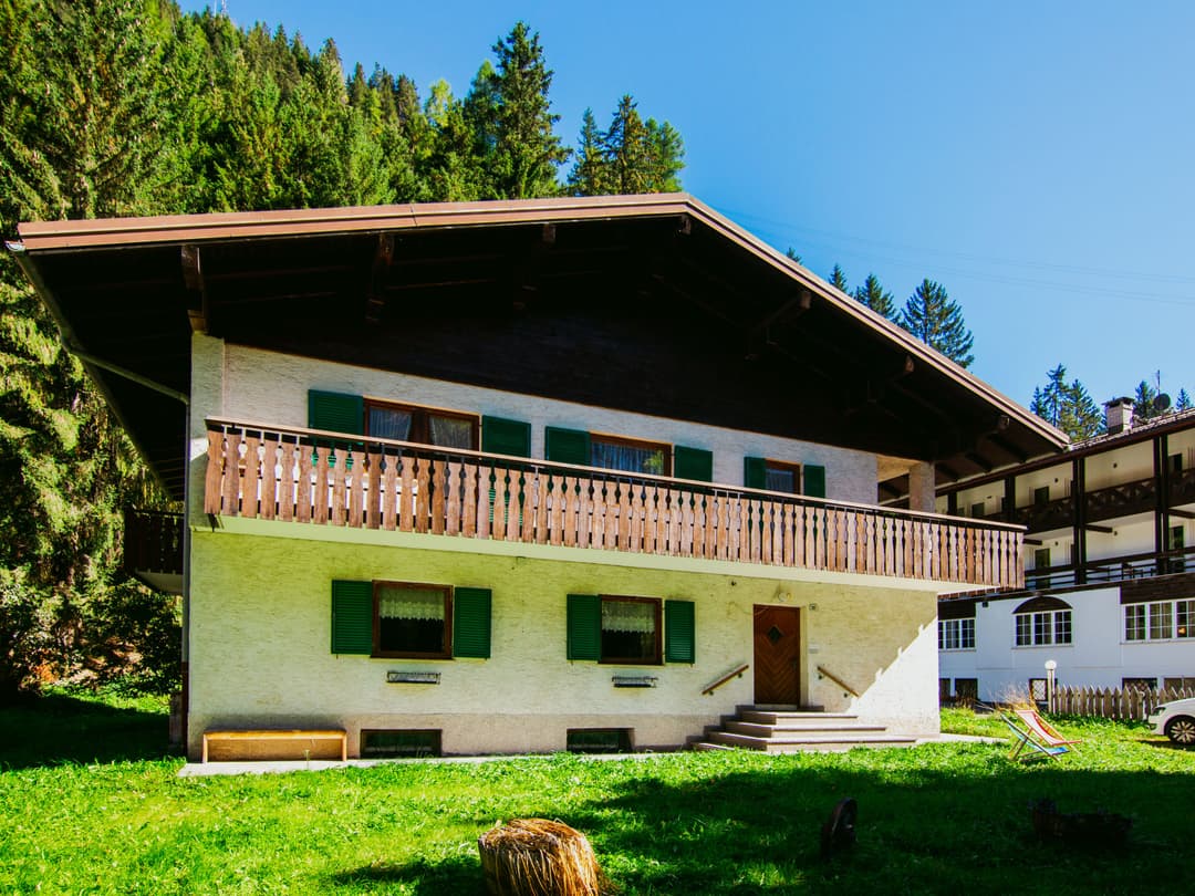 Large Image
