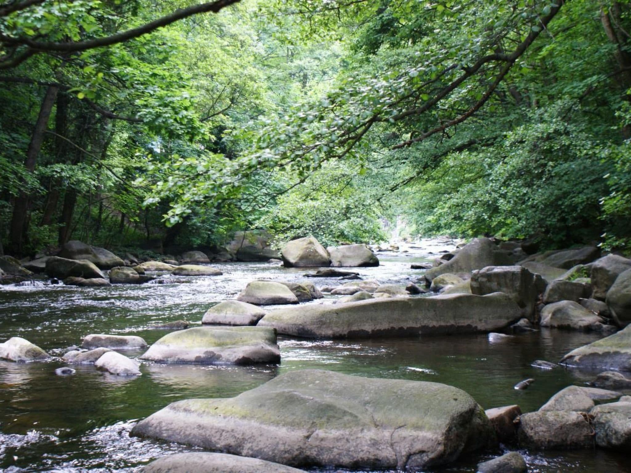 Gallery Image 26