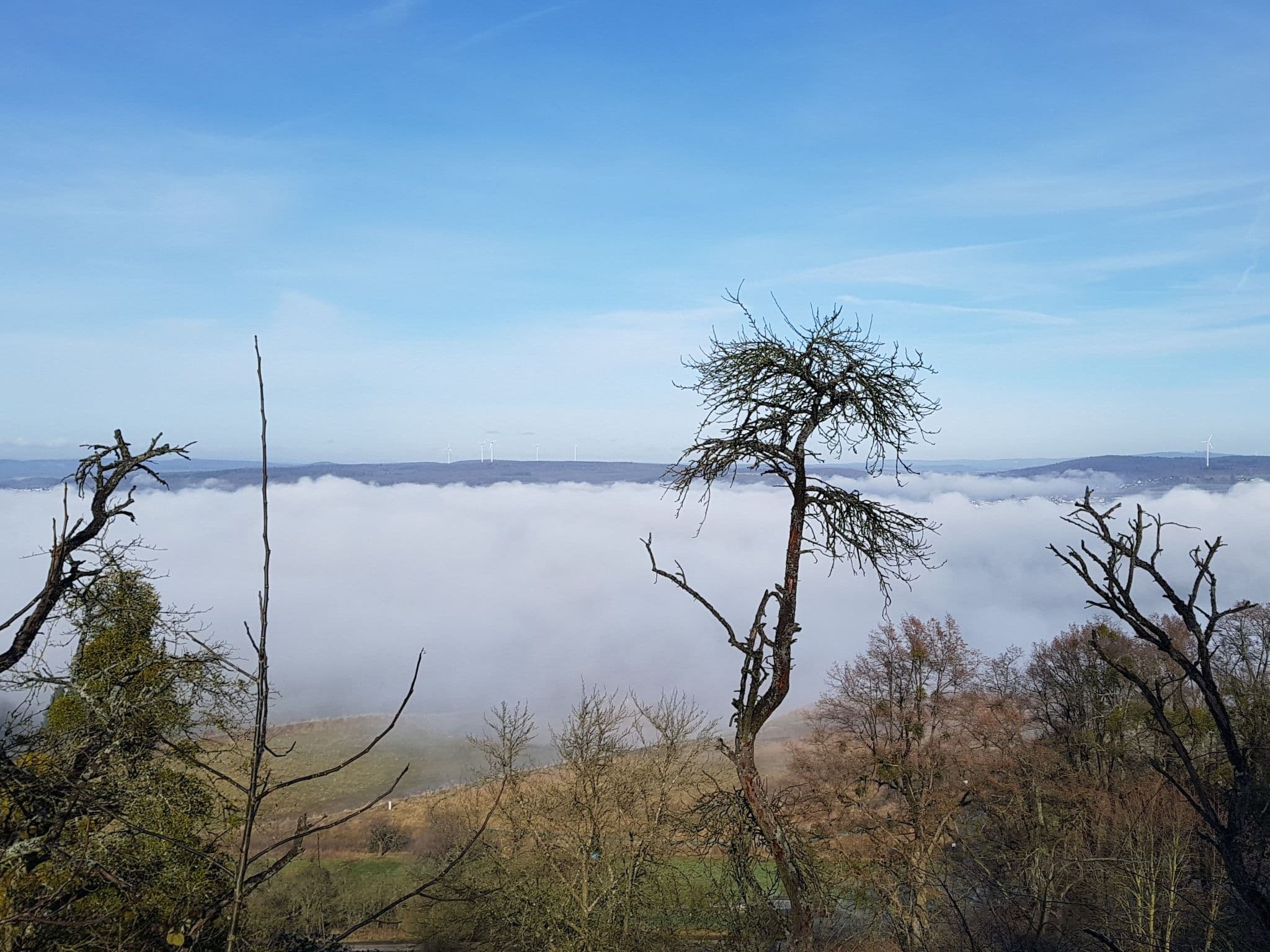View