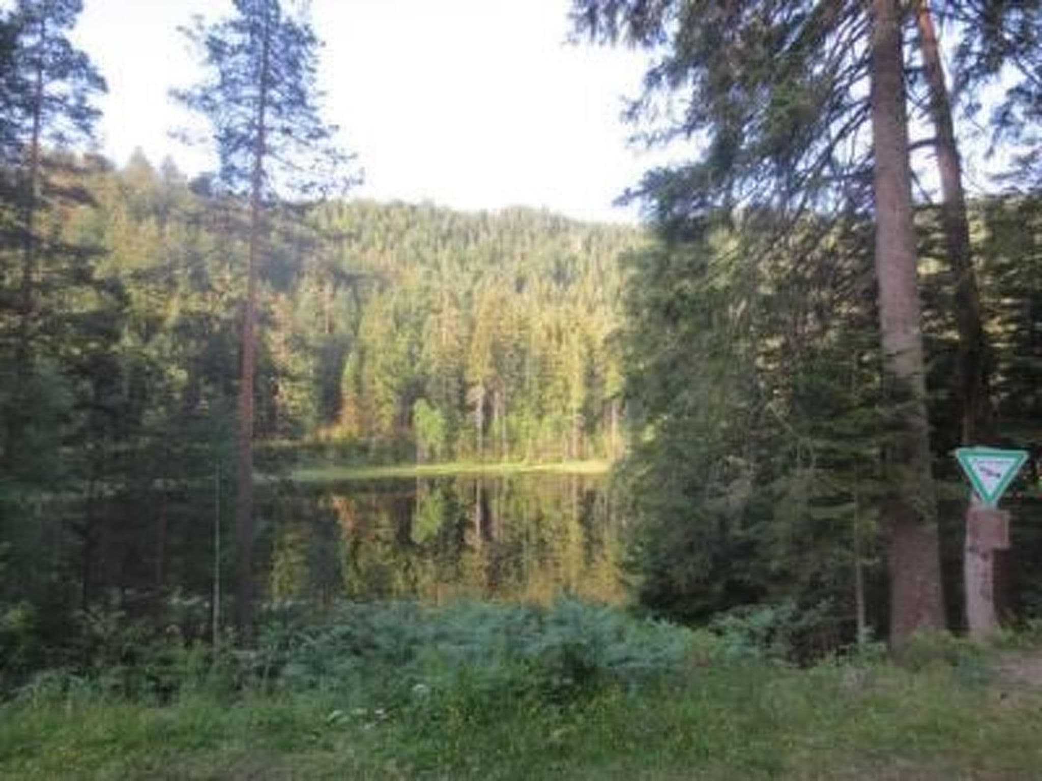 Gallery Image 35