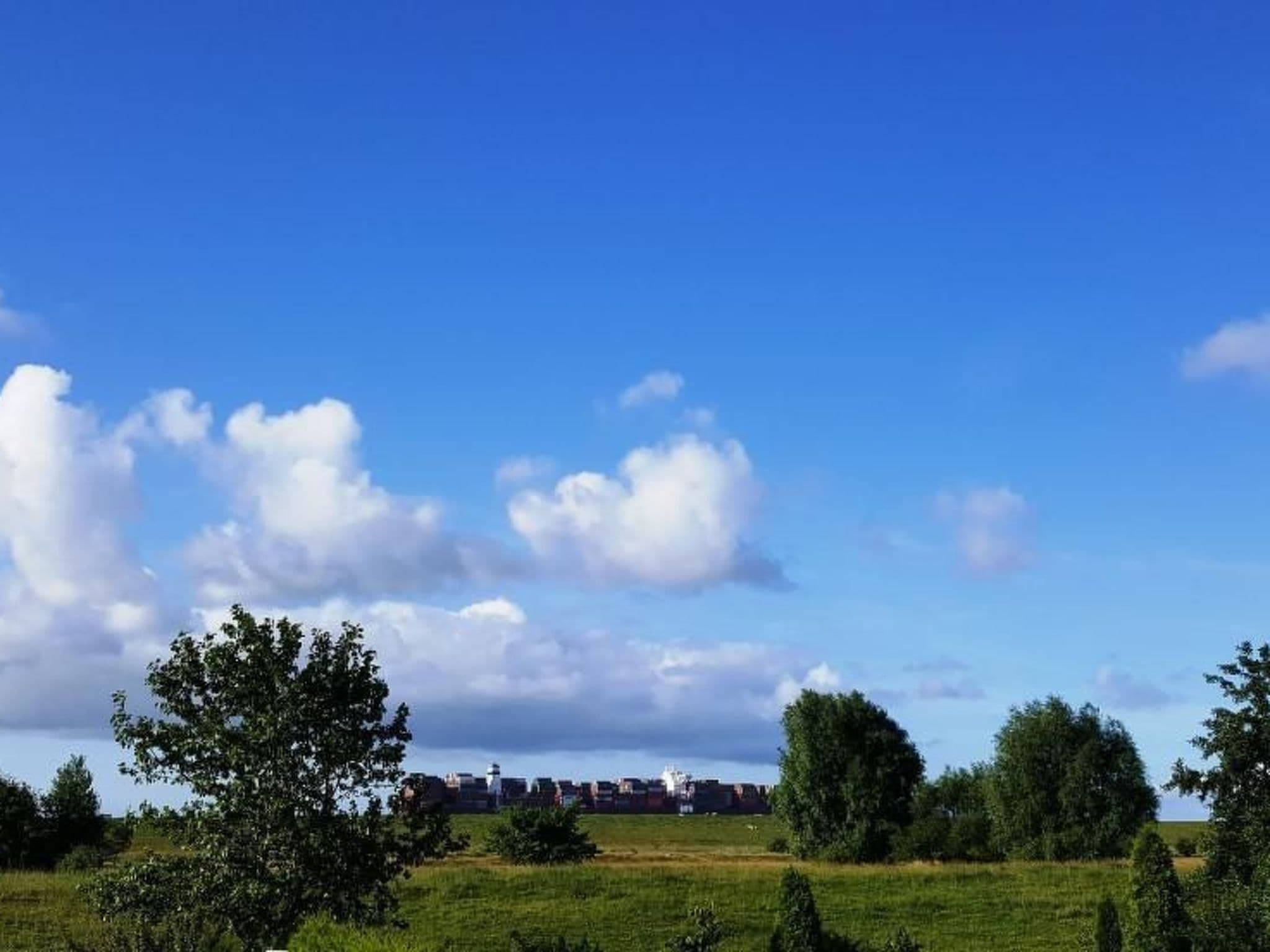 View
