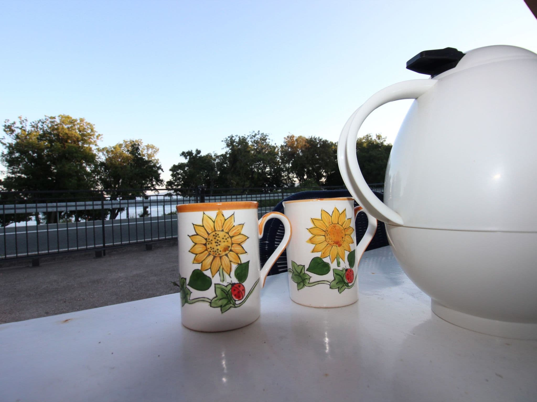 Gallery Image 12