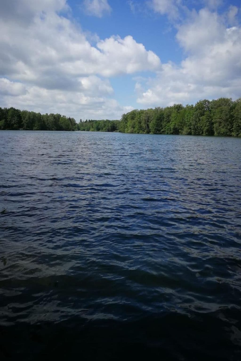 Gallery Image 14