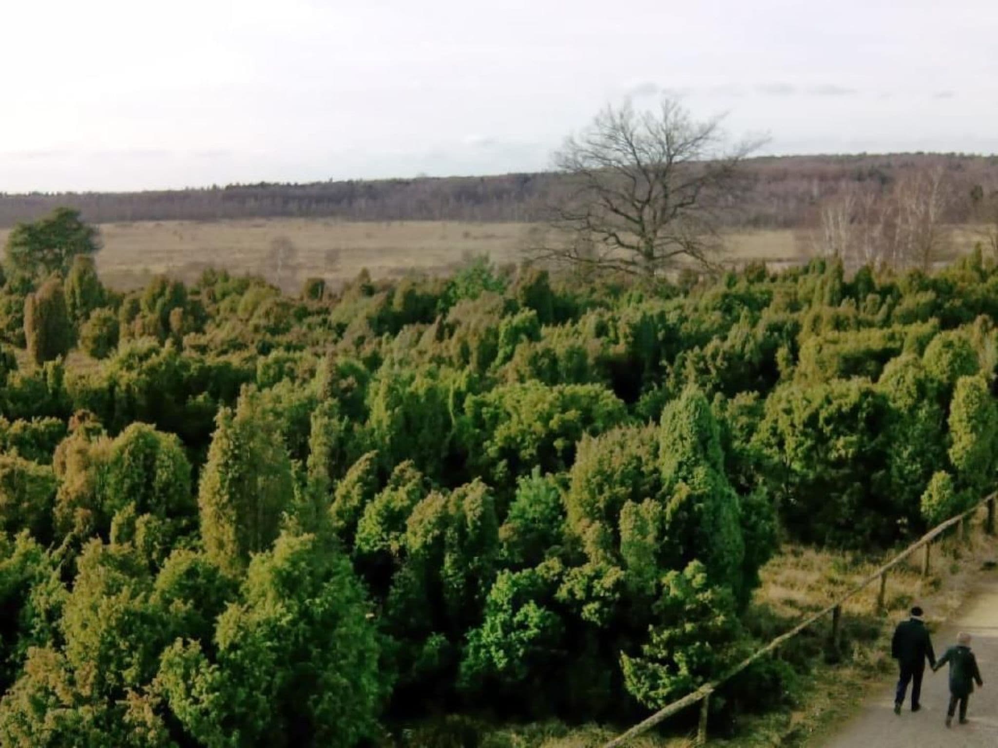 Aerial photography