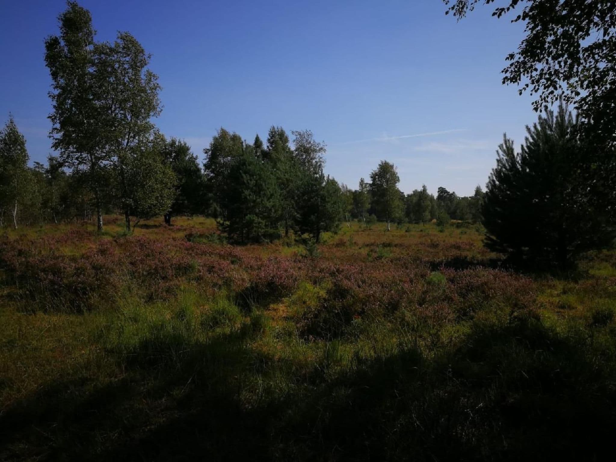 Gallery Image 21