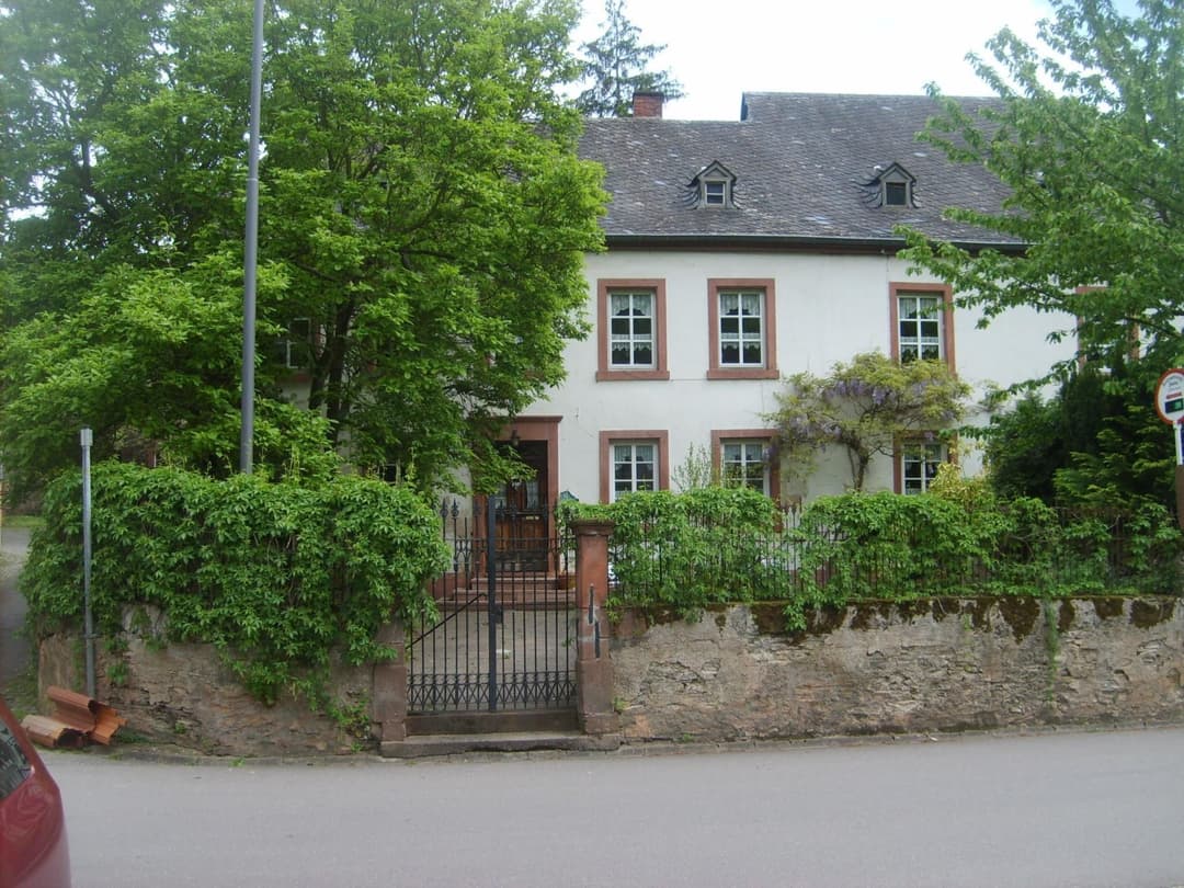 Large Image