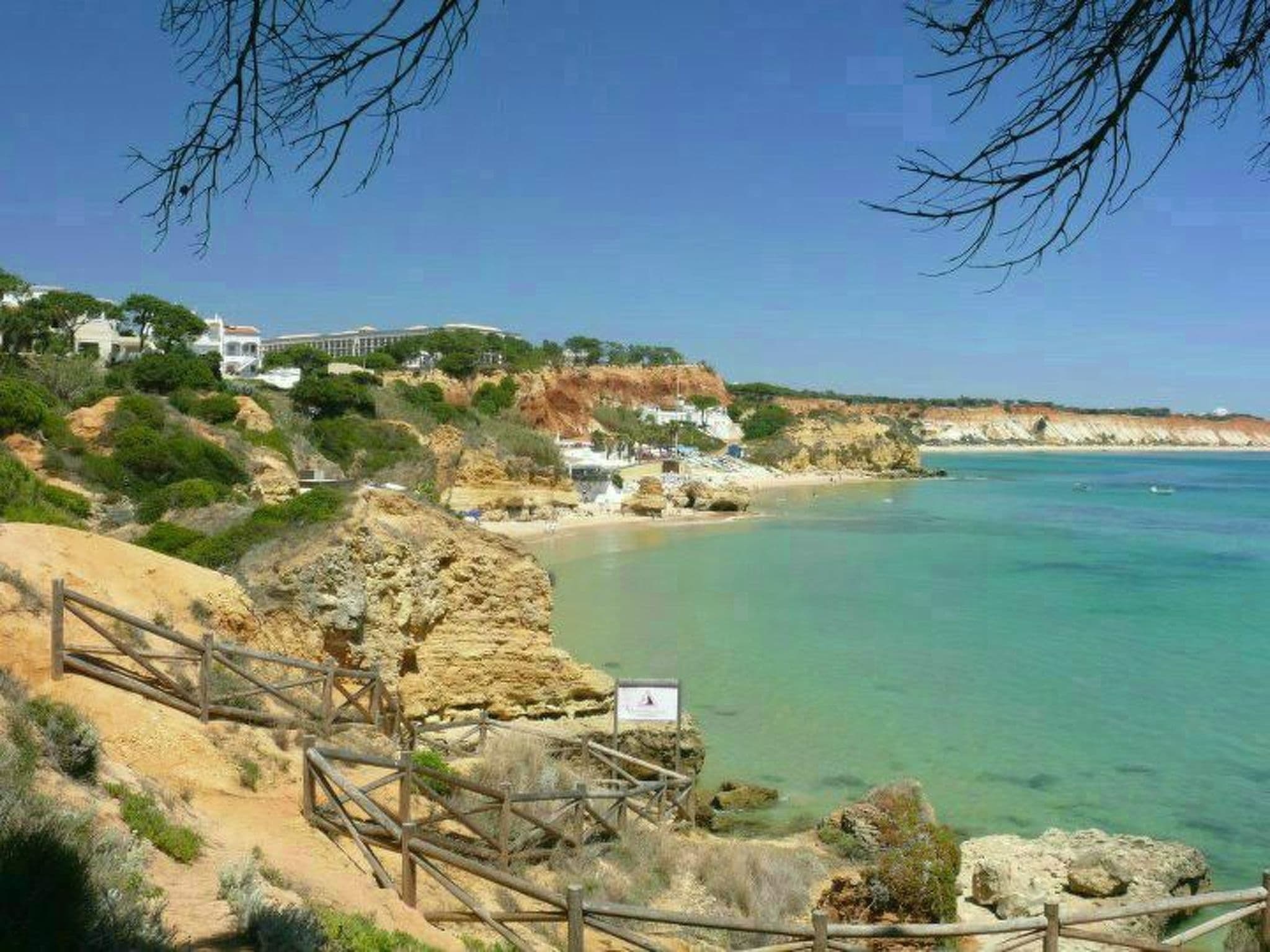 Gallery Image 36