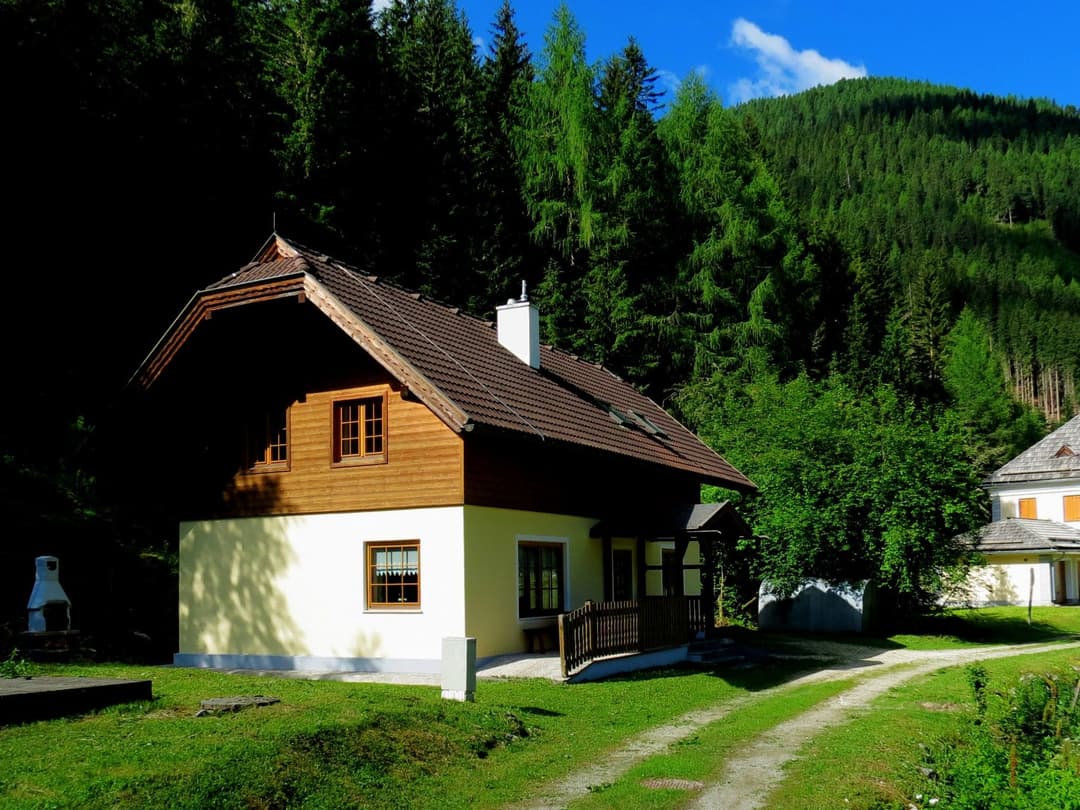 Large Image