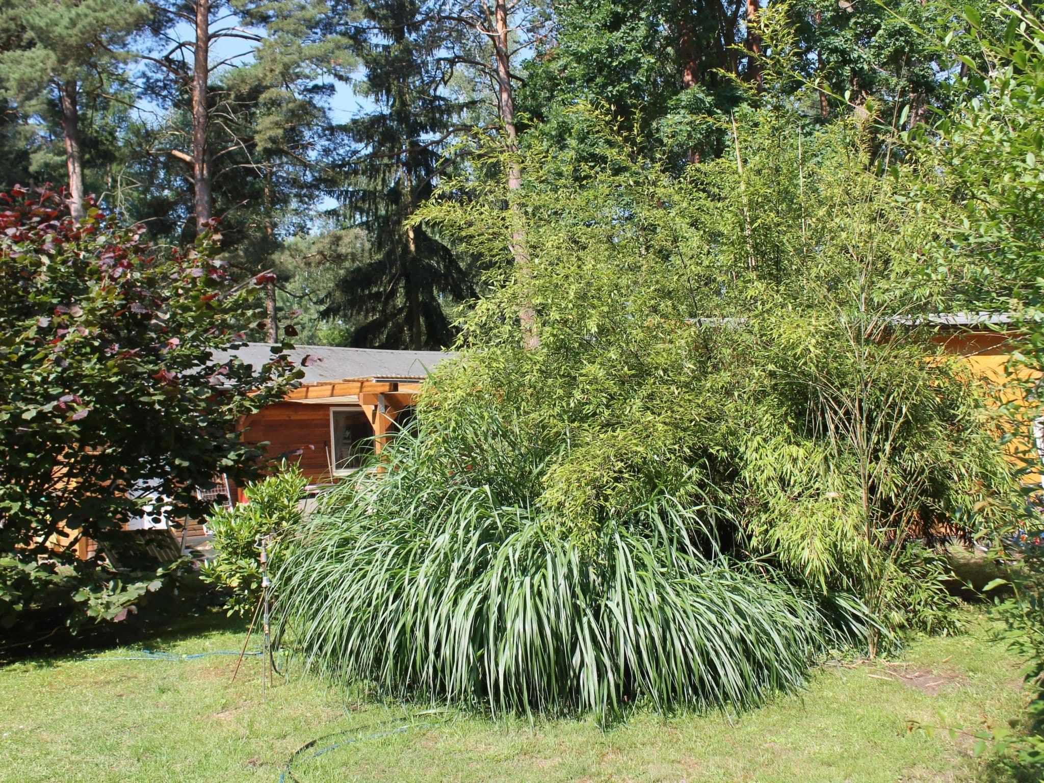 Gallery Image 9