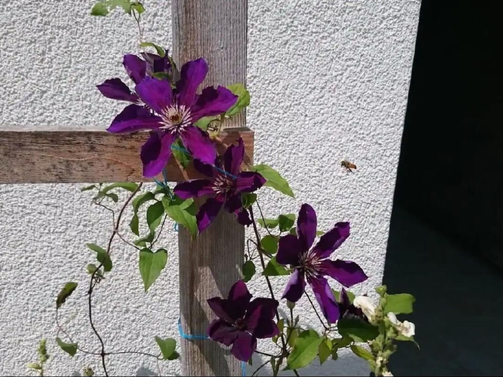 Gallery Image 27