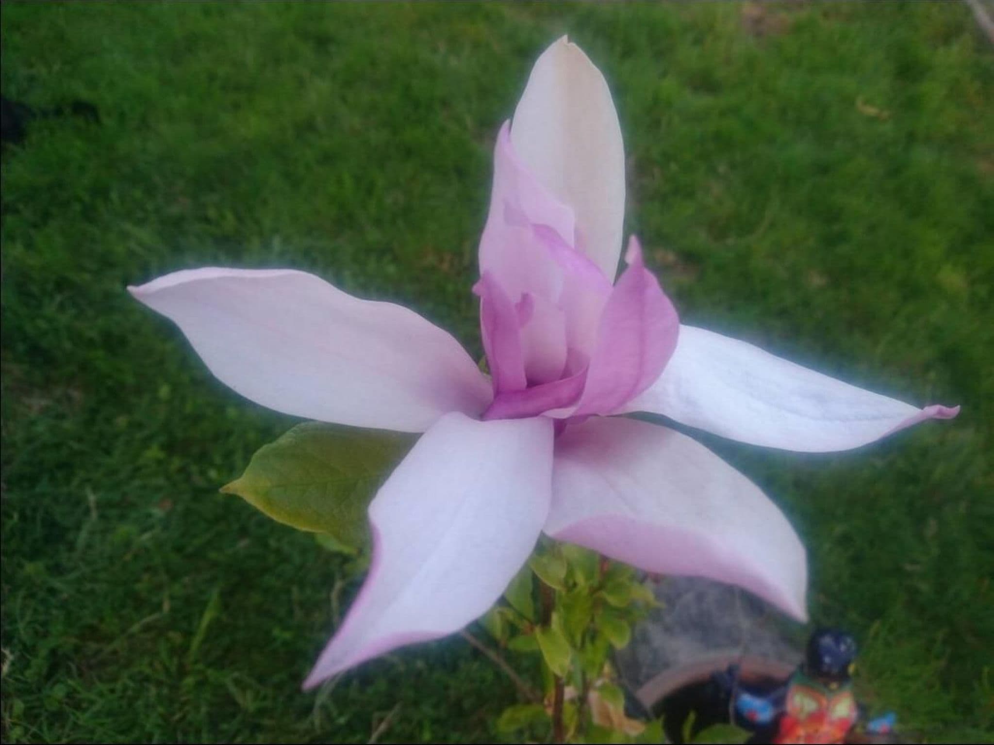 Gallery Image 28
