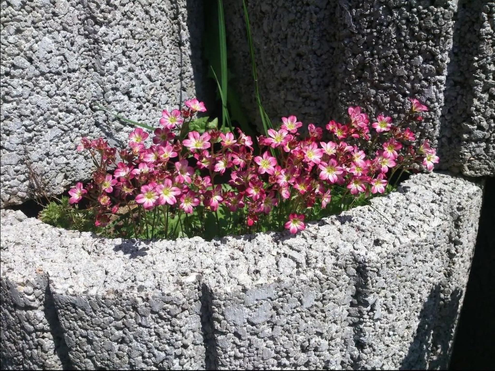 Gallery Image 29