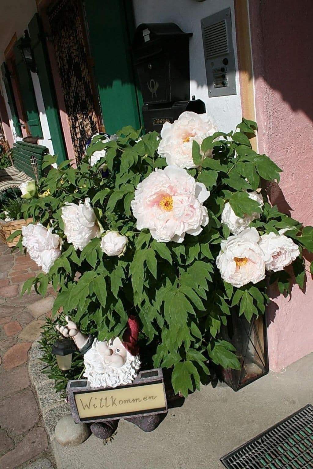 Gallery Image 17