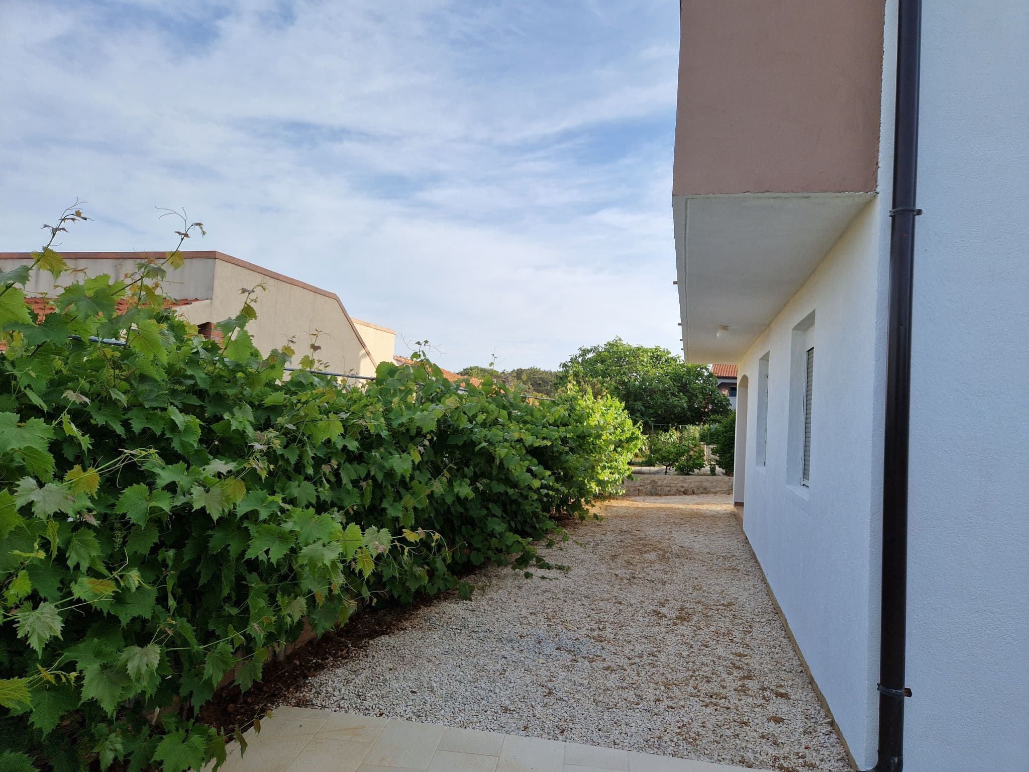 Gallery Image 29