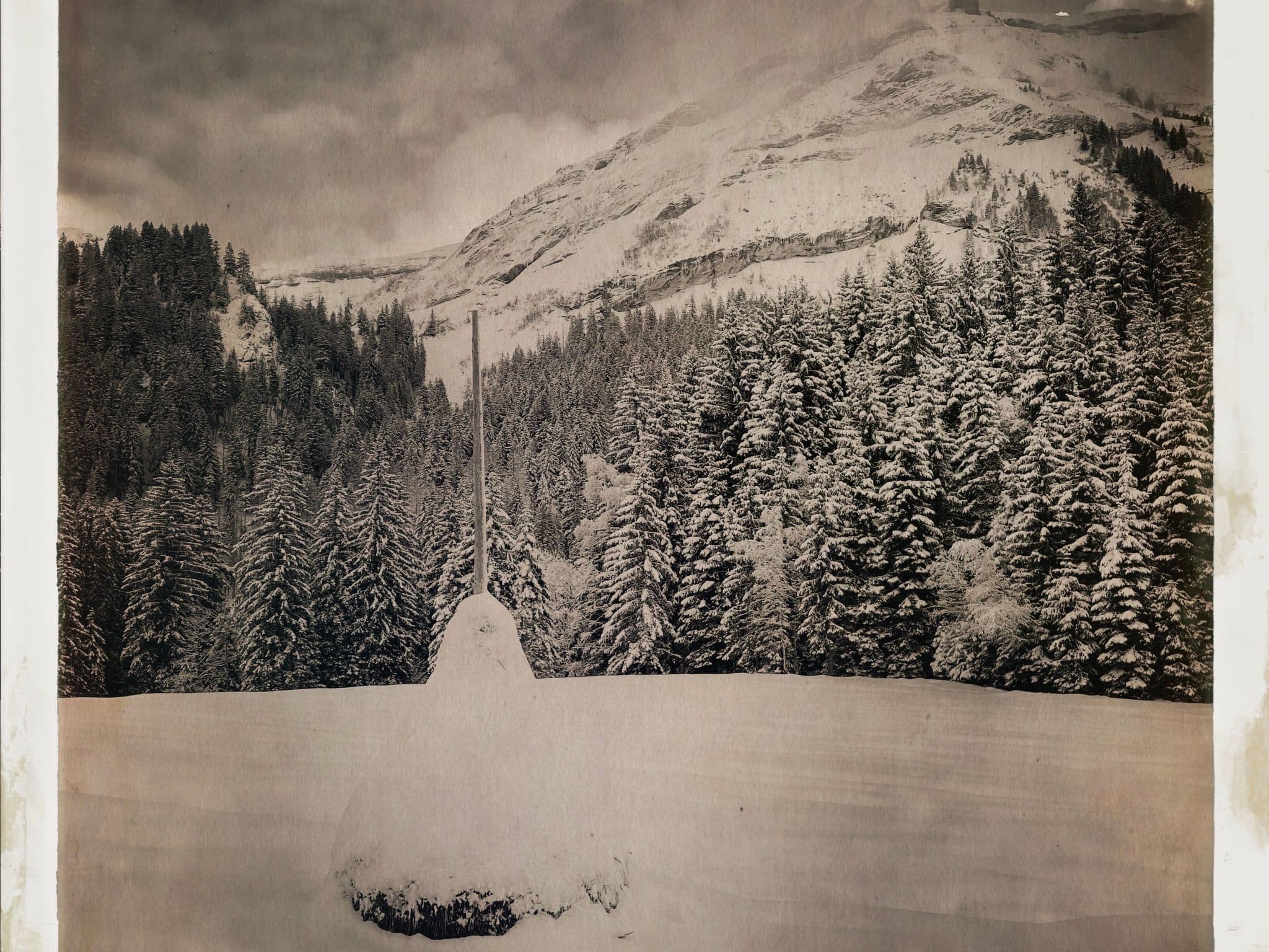 Gallery Image 17