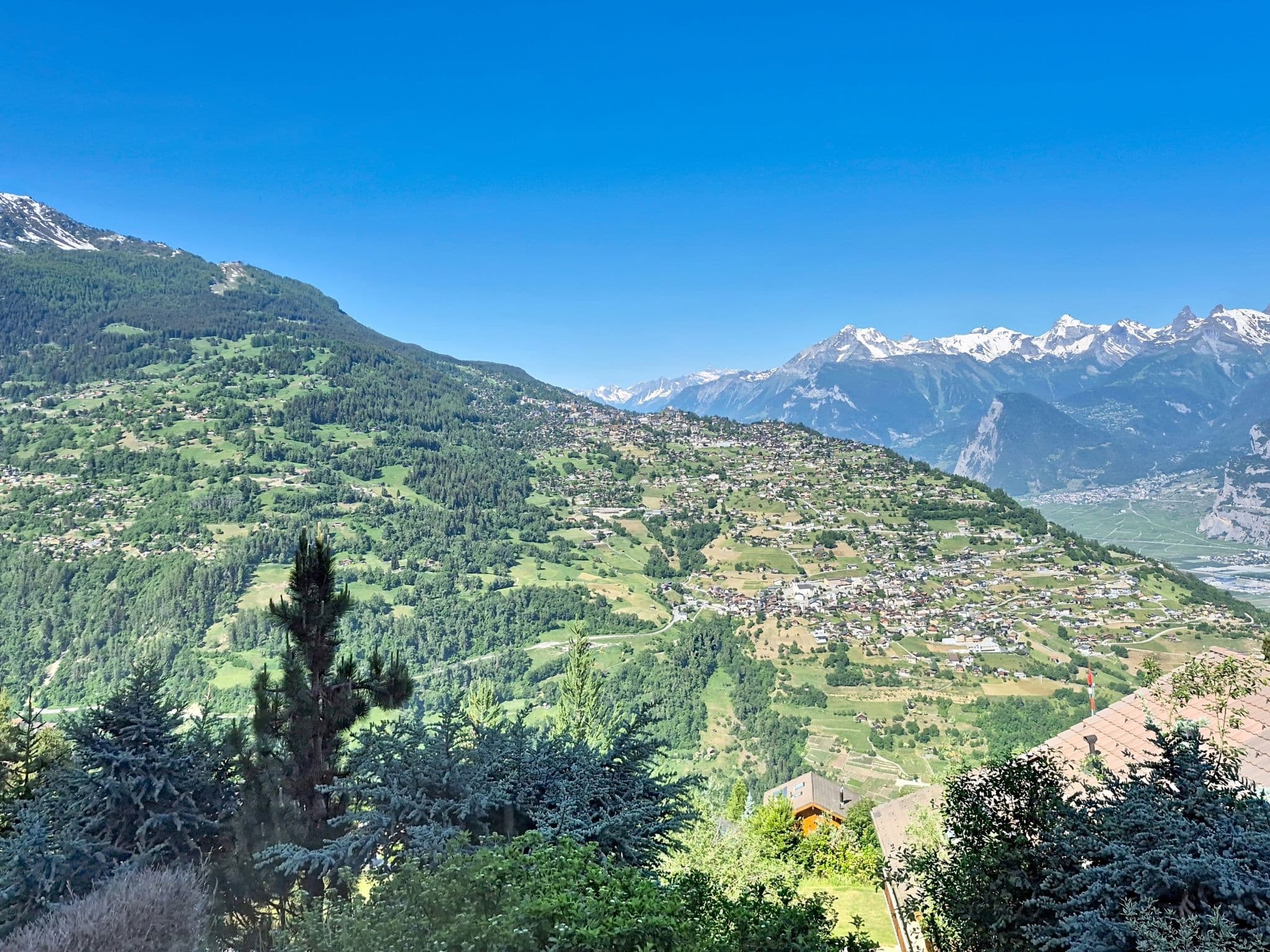 View
