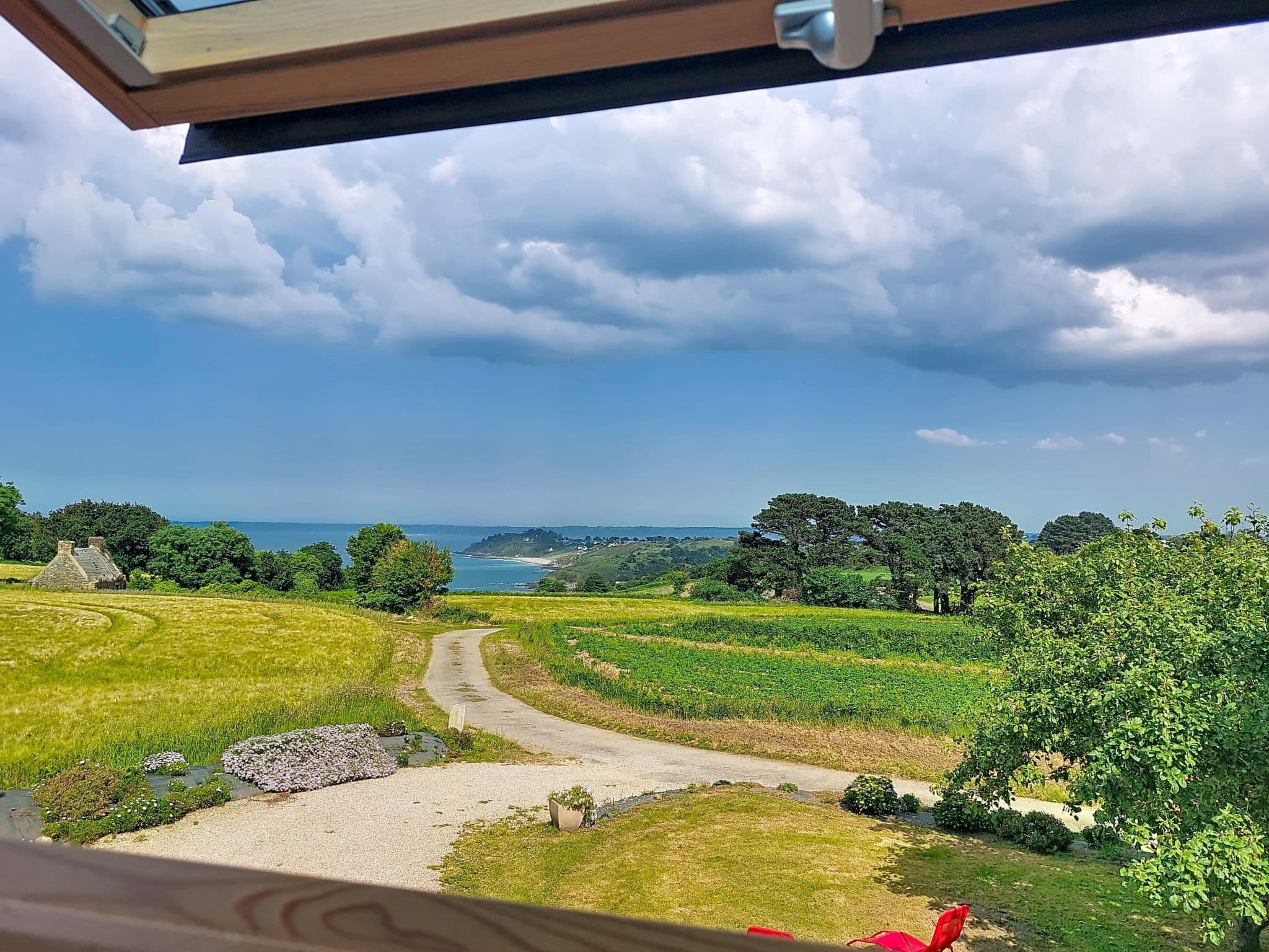 View