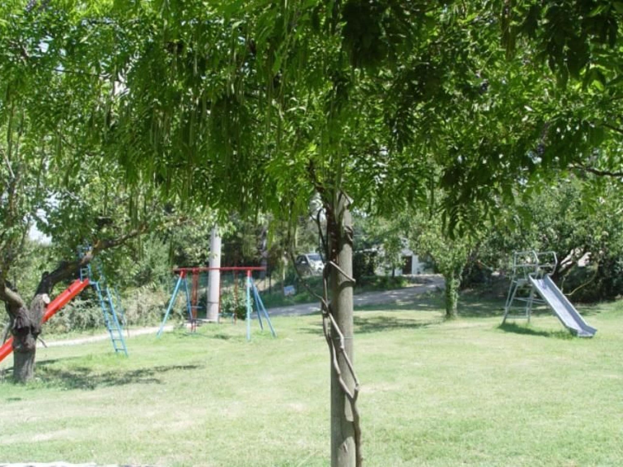 Gallery Image 14