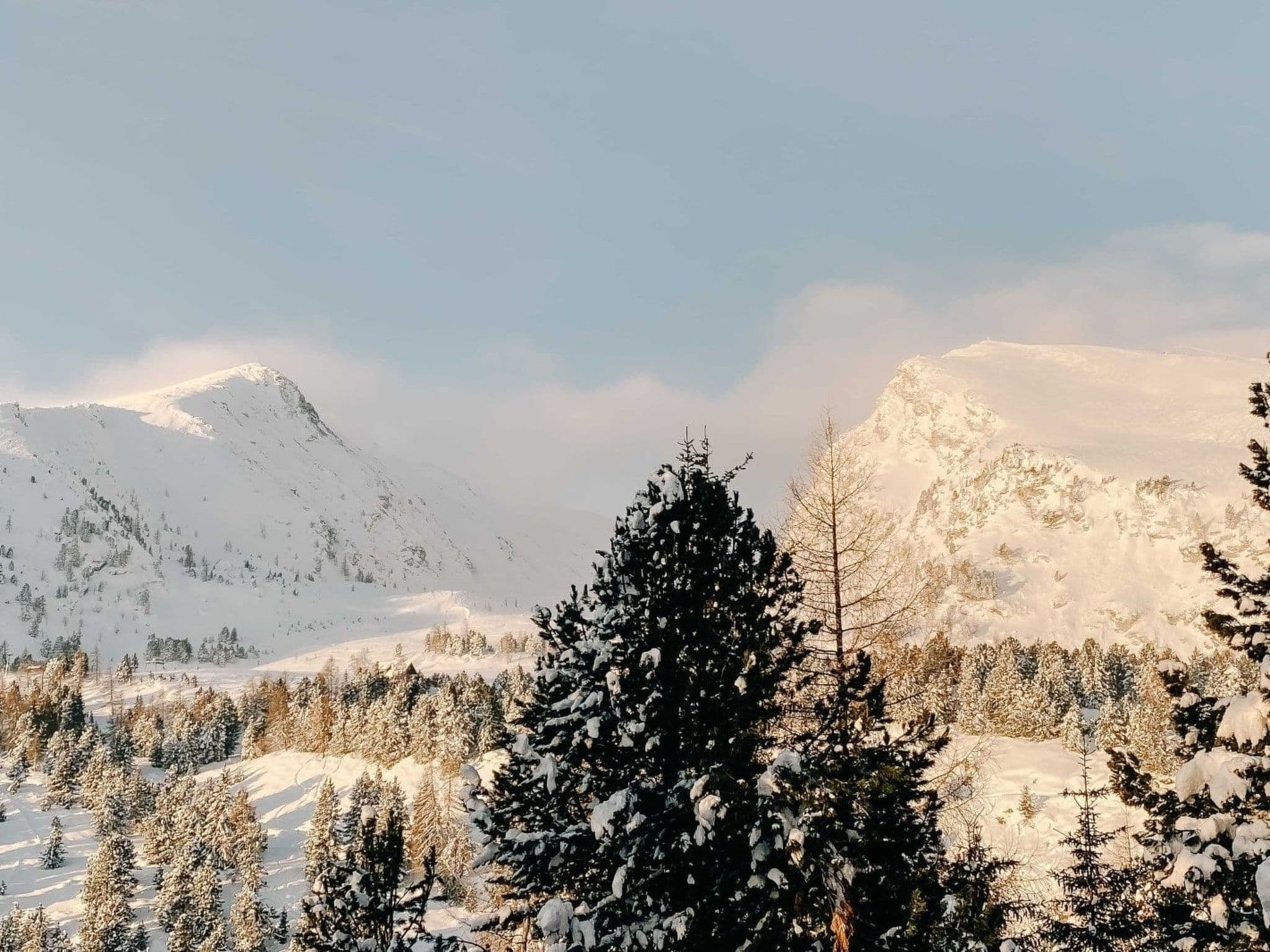 Gallery Image 9