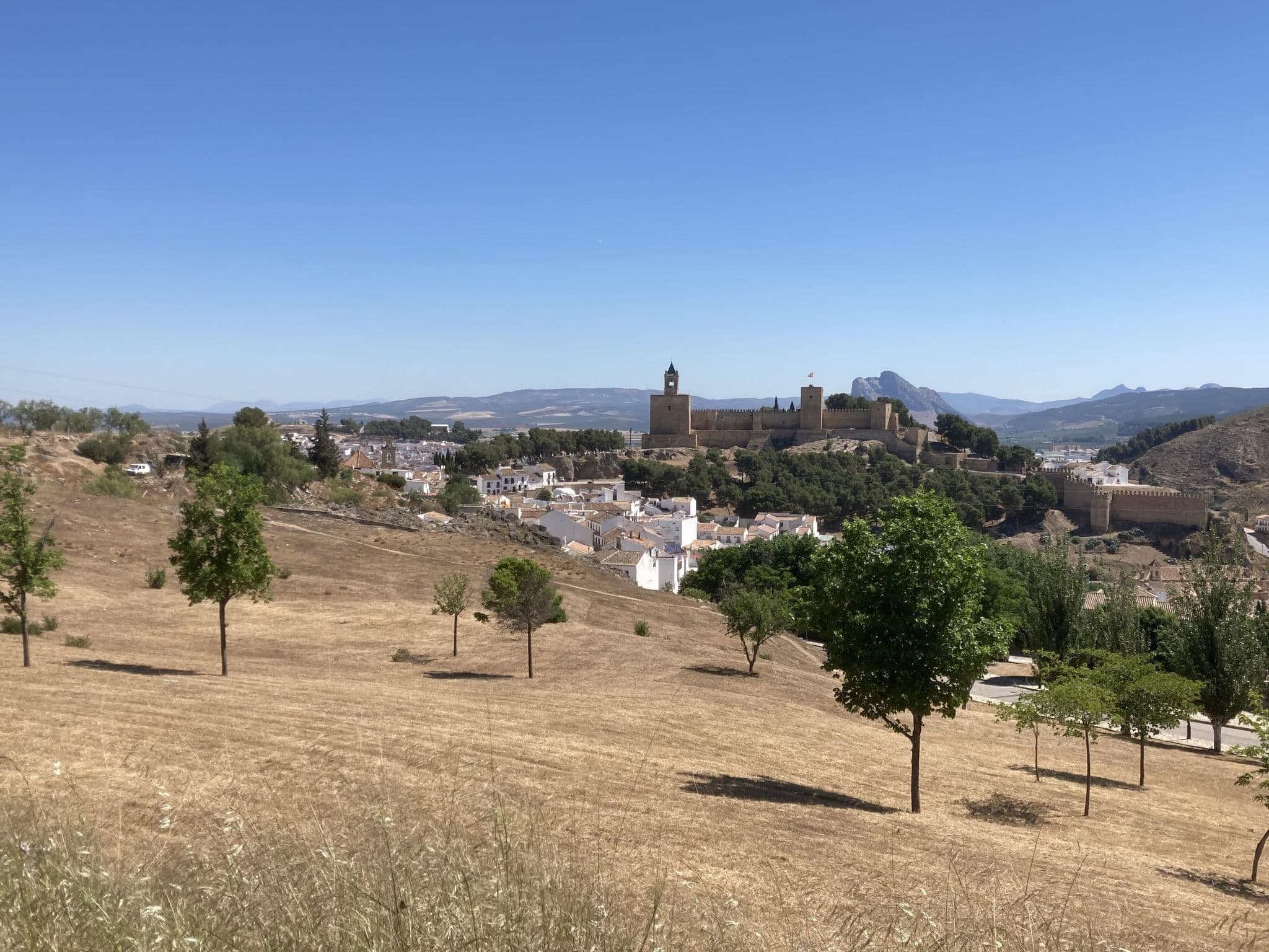 View