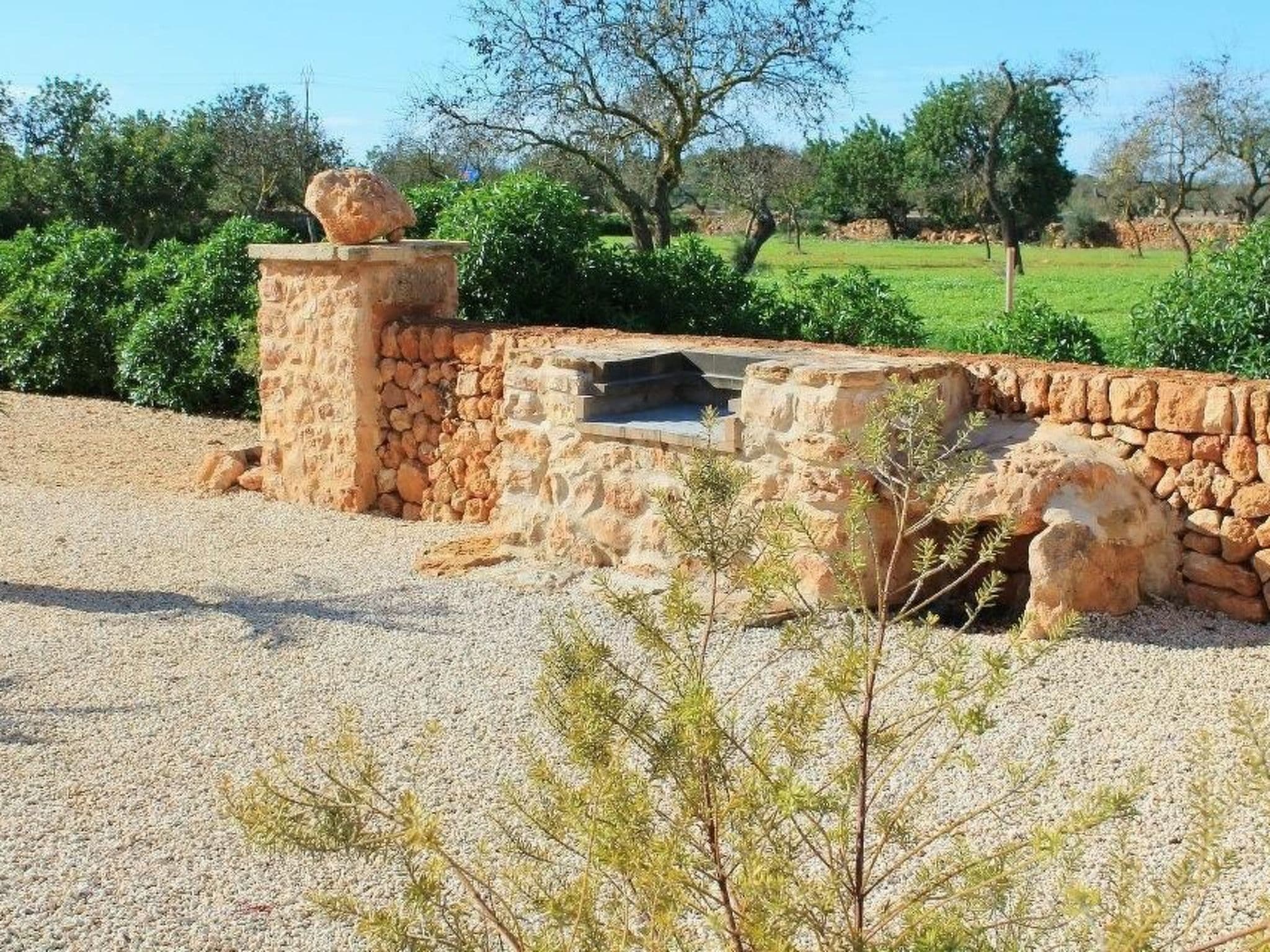 Gallery Image 32